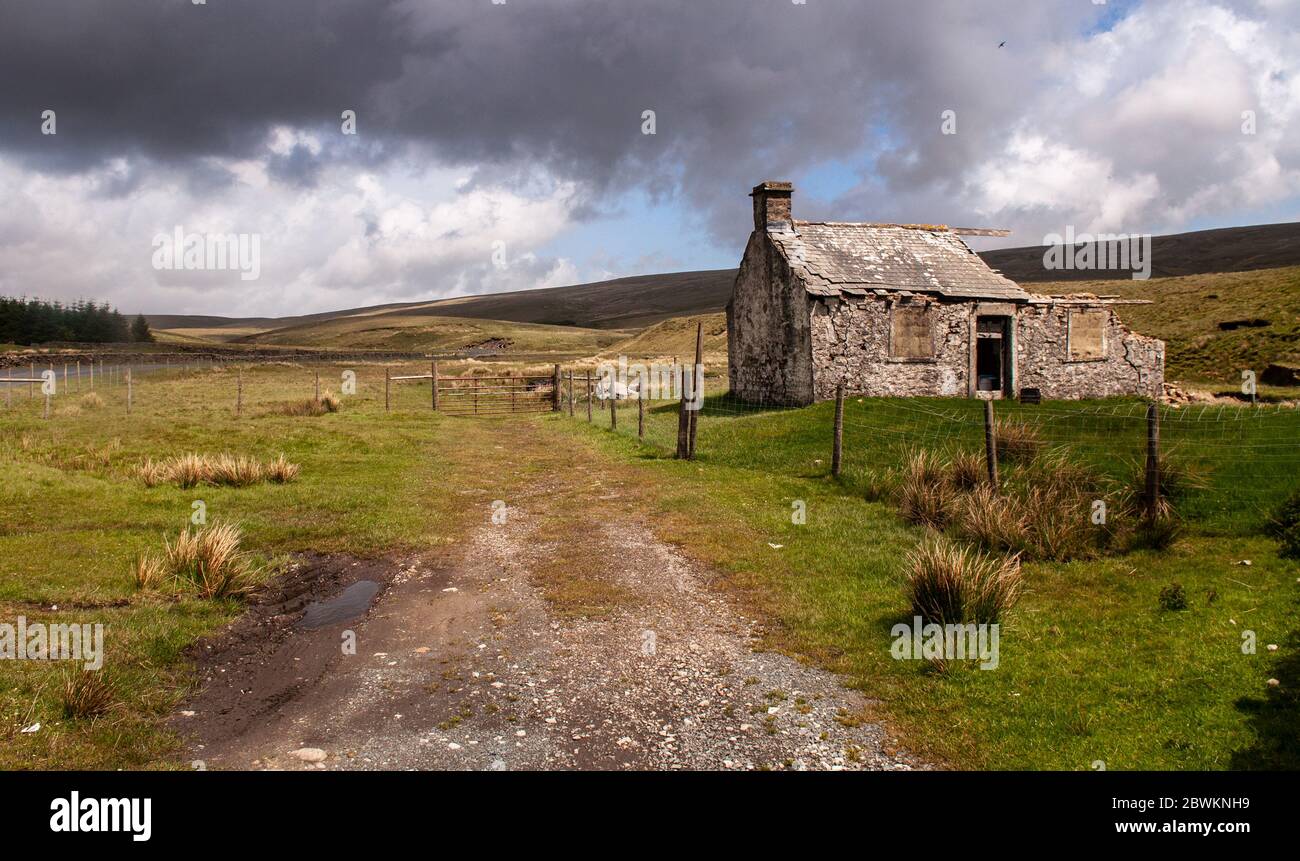 Les ruines d'une vieille cabane en pierre à côté du stand de tir Gayle Beck stream sur près de high moorland Ribblehead en Angleterre's Yorkshire Dales national park. Banque D'Images