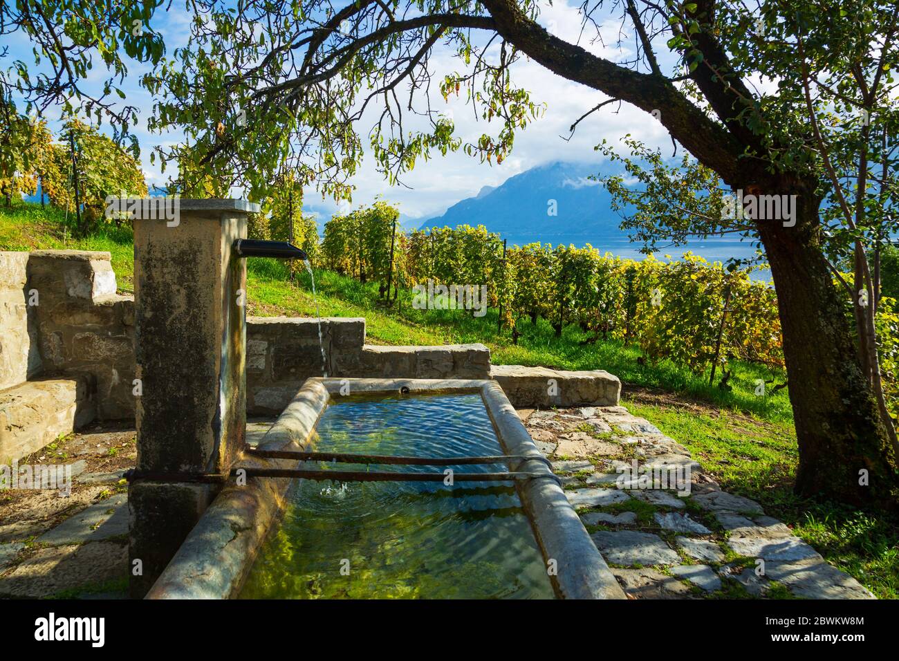 Lavaux, Suisse : source d'eau douce sur le sentier de randonnée parmi les vignobles de Lavaux dans le canton de Vaud Banque D'Images