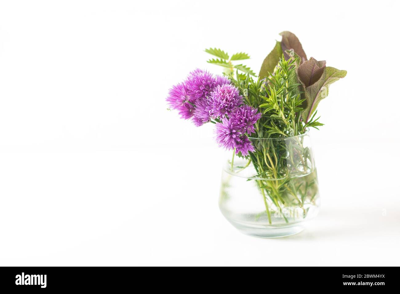 Concept de nourriture aux herbes fleurs de ciboulette et herbes aromatiques dans un pot en verre isolé sur fond blanc Banque D'Images