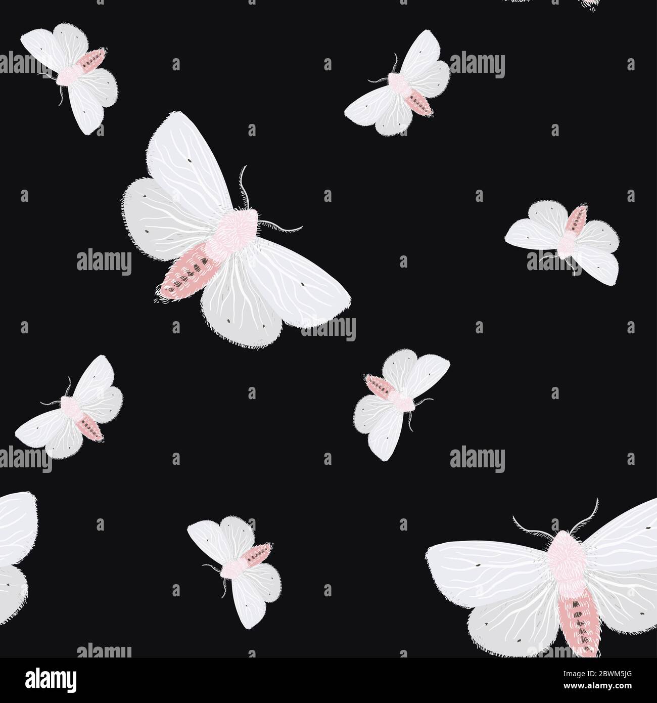 Des papillons blancs sur fond noir. Motif vectoriel sans couture avec insectes. Motif carré répété pour le tissu et le papier peint. Banque D'Images