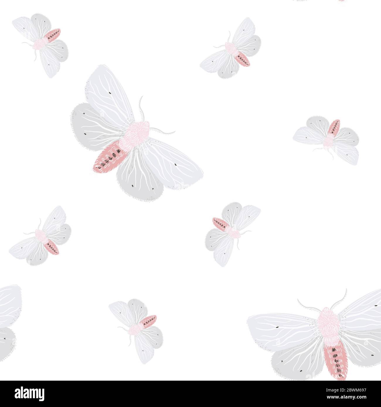 Des papillons blancs sur fond clair. Motif vectoriel sans couture avec insectes. Motif carré répété pour le tissu et le papier peint. Banque D'Images