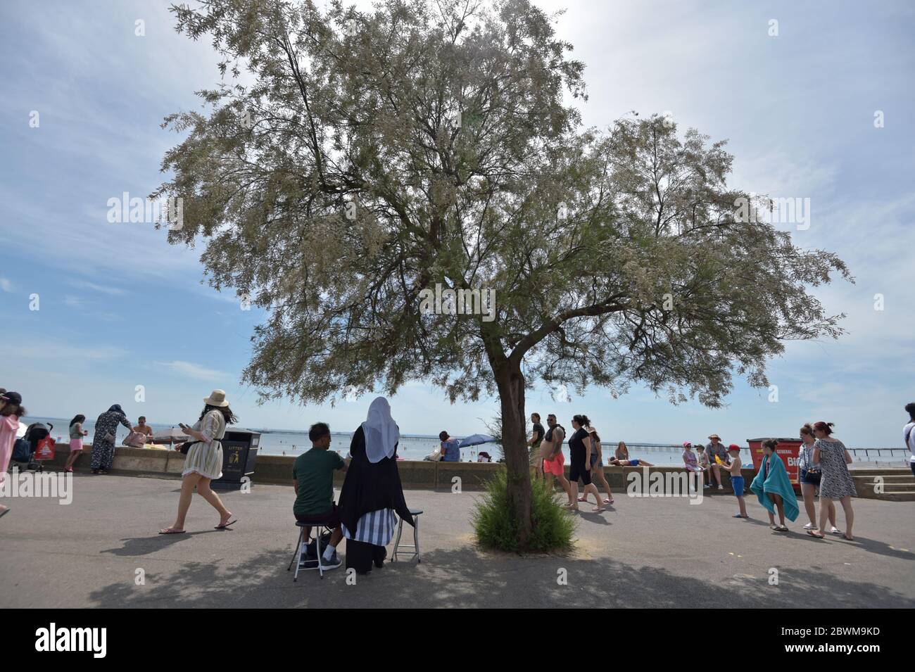 Un couple trouve de l'ombre sous un arbre sur le front de mer à Southend dans l'Essex, car on rappelle au public de pratiquer la distanciation sociale après le relâchement des restrictions de verrouillage en Angleterre. Banque D'Images
