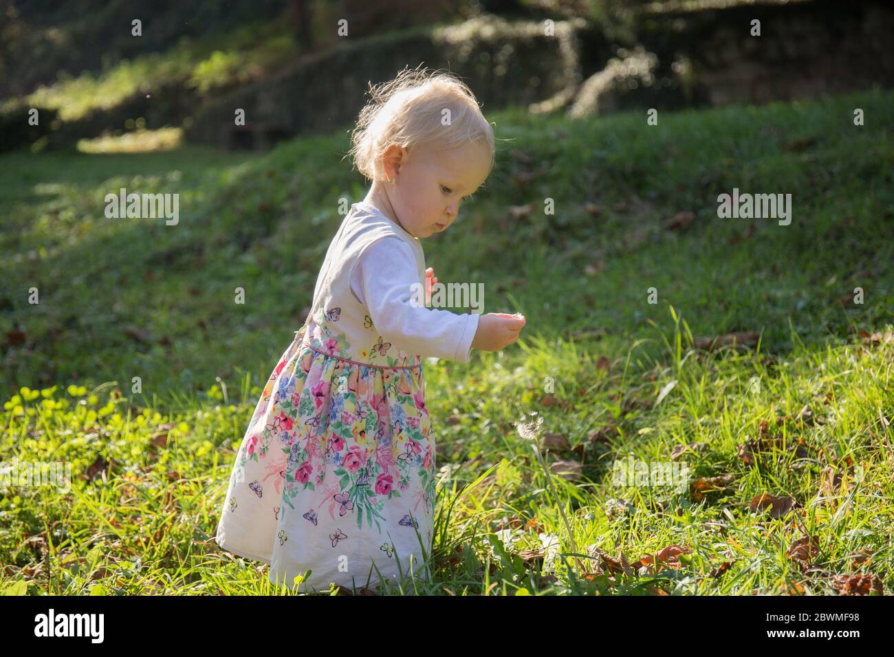 Un enfant d'un an, marchant sur l'herbe, en robe, en automne, un jour ensoleillé, souriant Banque D'Images