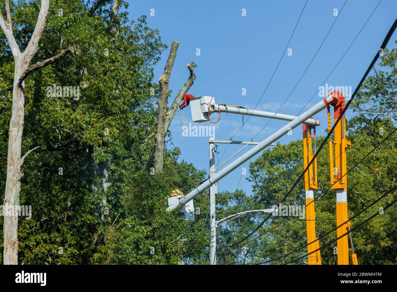 Travailleur avec une tronçonneuse sanitaire saisonnière, tailler les branches de l'arbre sur le circuit hydraulique haut Banque D'Images