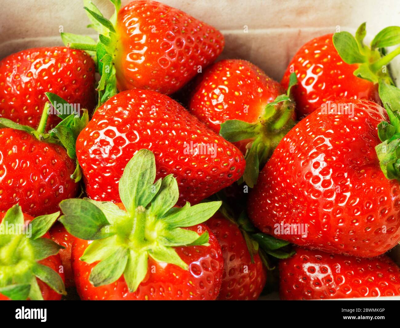 Fraises fraîches dans un punnet en plastique gratuit Banque D'Images