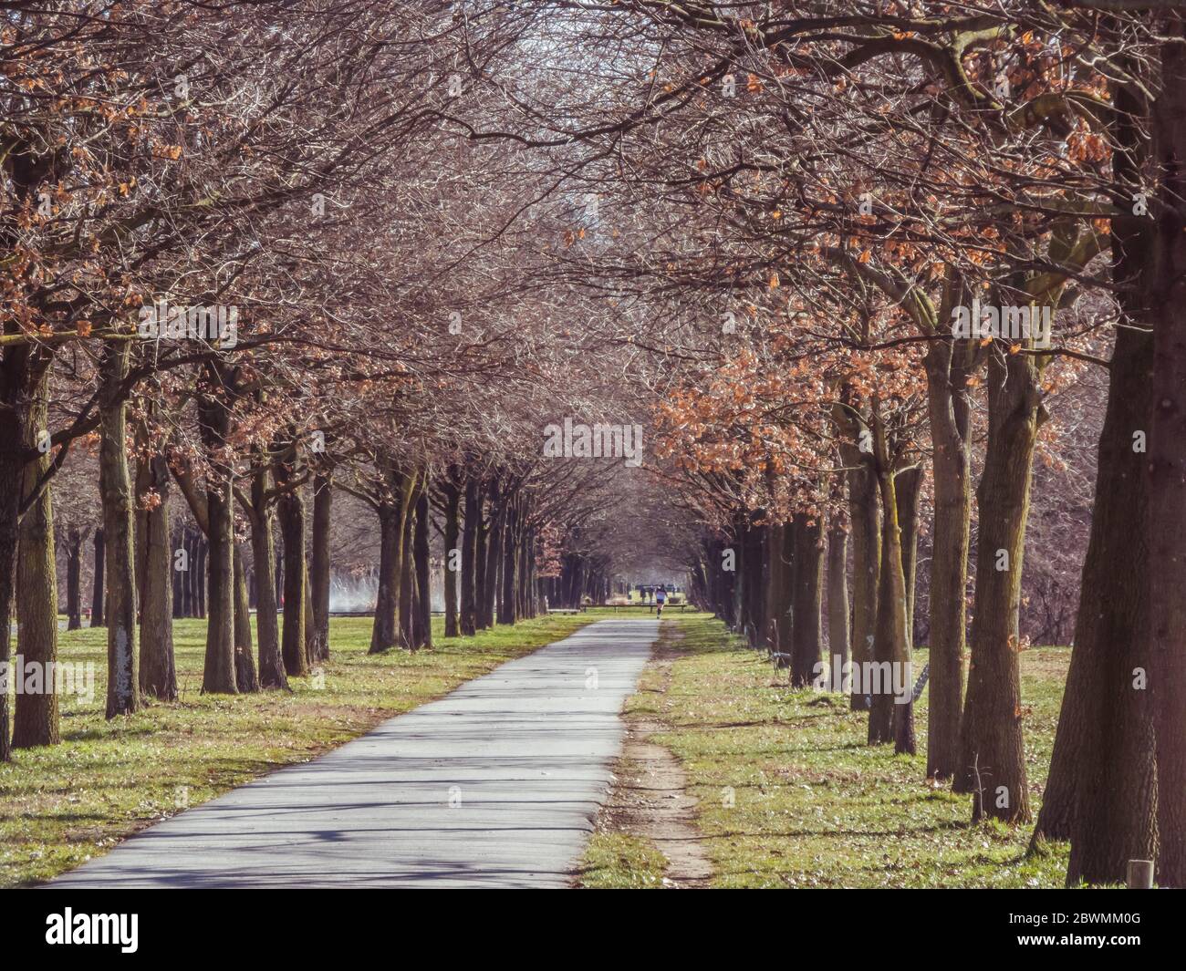 Prenez des photos du parco Nord de Milan Banque D'Images