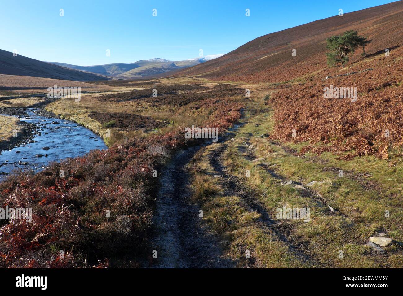 À côté de la rivière Caldew sur la Cumbria Way comme il coupe à travers les coquillages du parc national de Lake District. La montagne enneigée est Skiddaw Banque D'Images