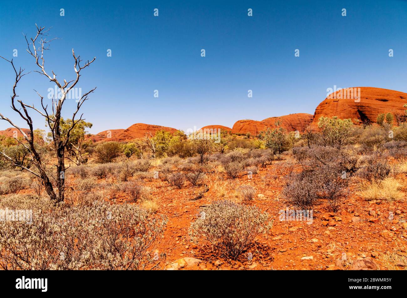 KATA TJUTA / THE OLGAS, TERRITOIRES DU NORD, AUSTRALIE Banque D'Images