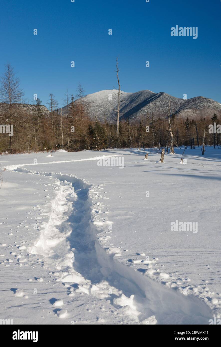 Mont Carrigain du bassin versant de Meadow Brook le long du sentier de la rivière Sawyer à Livermore, dans le New Hampshire, pendant les mois d'hiver. Banque D'Images