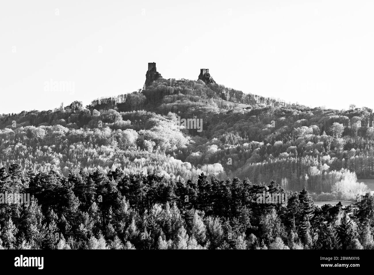 Les ruines du château de Trosky. Deux tours de l'ancien château médiéval sur la colline. Paysage de Paradis tchèque: Cesky raj, République tchèque. Noir et blanc Banque D'Images
