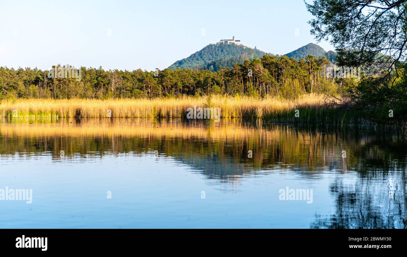 Château médiéval de Bezdez au sommet de la montagne de Bezdez. Se reflète à Brehynsky Pond, République tchèque. Banque D'Images