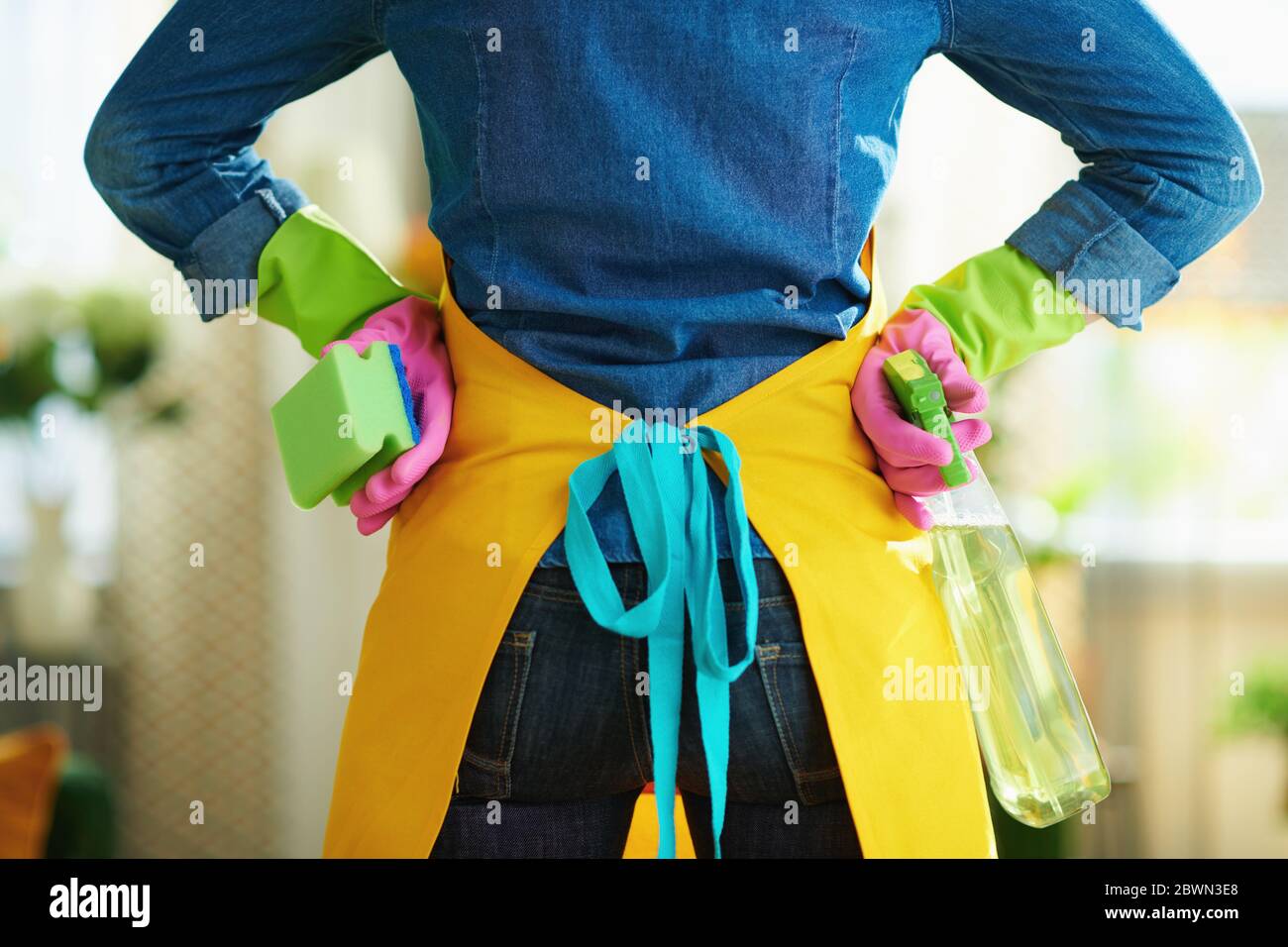 Gros plan sur une femme en tablier orange et gants en caoutchouc rose avec un flacon pulvérisateur de produits de nettoyage et une éponge verte prête à faire des travaux ménagers à la maison en s. Banque D'Images