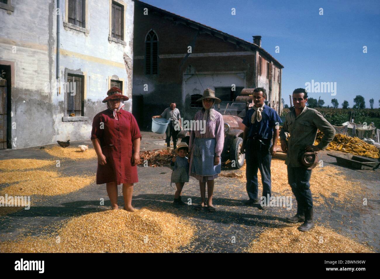 Famille de travailleurs dans une ferme du sud de l'Italie avec des kernals de maïs qui ont été battus, photographiés en 1964 Banque D'Images