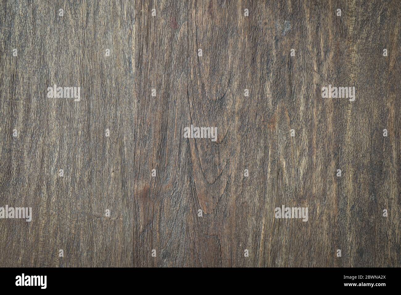 Texture du bois d'écorce, peut être utilisé comme fond naturel Banque D'Images