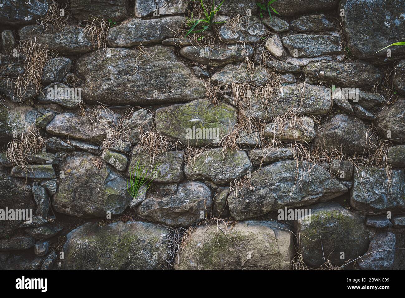 Vieux mur de pierre naturelle avec végétation verte et sèche qui pousse parmi les rochers Banque D'Images
