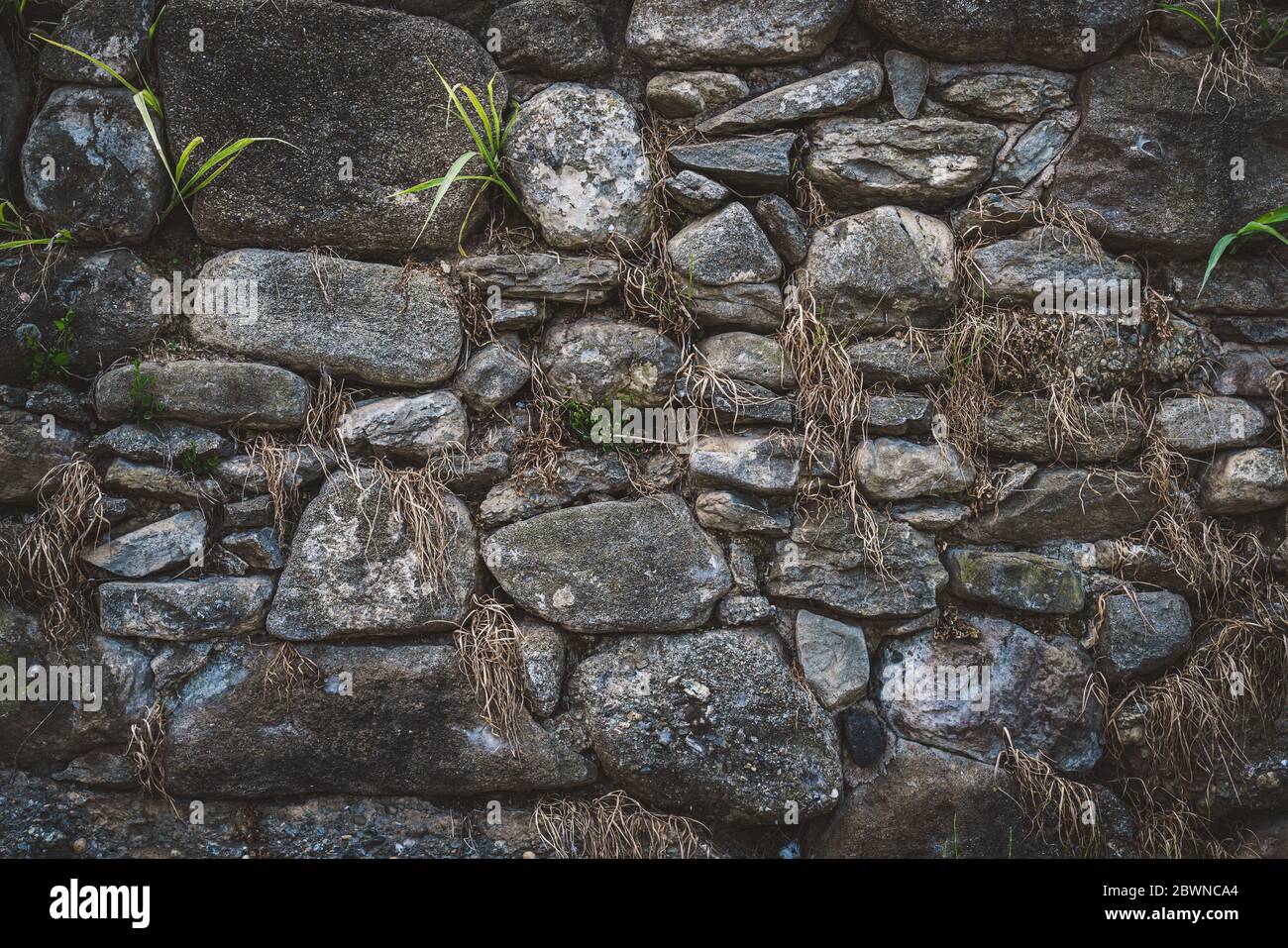 Vieux mur de pierre naturelle avec végétation verte et sèche qui pousse parmi les rochers Banque D'Images