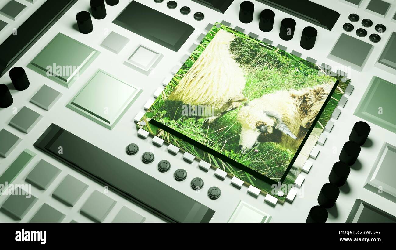 Génie génétique conceptuel, moutons, manipulation génétique animale expériences scientifiques, bio technologie avancée, animaux de ferme Banque D'Images