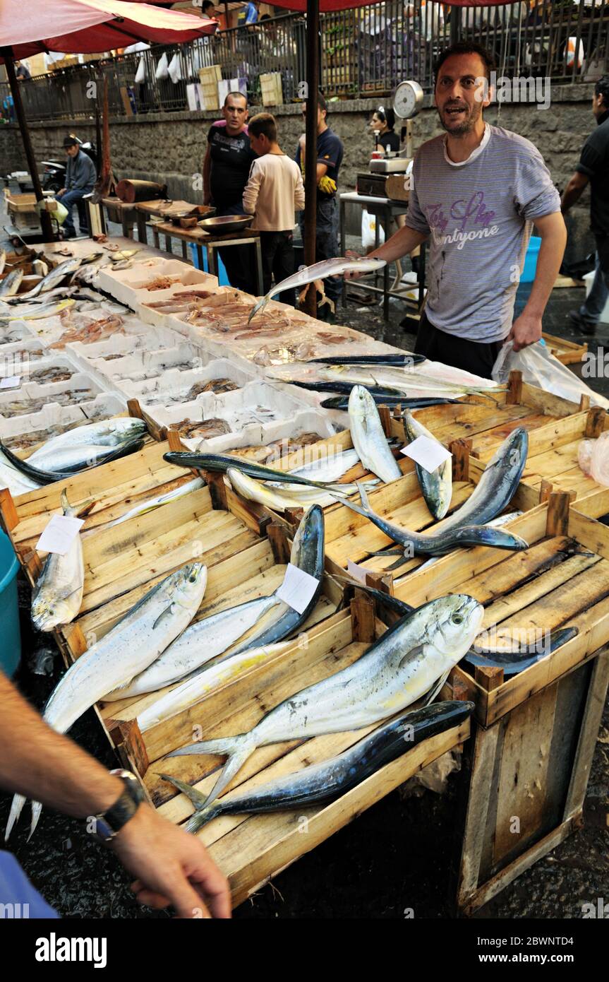 Cale de poisson à la Pescheria (marché aux poissons) à Catane, Sicile, Italie Banque D'Images