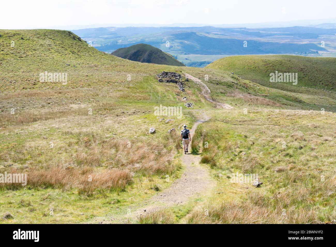 Les Fells de CAMPSIE - marcheur sur le sentier menant à un bâtiment en ruines et le sommet de Dumgoyne, Stirlingshire, Écosse, Royaume-Uni Banque D'Images