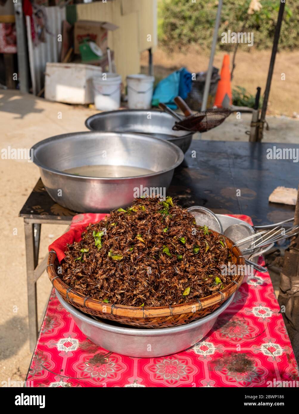 Criquets à vendre sur le bord de la route, Phnom Penh, Cambodge Banque D'Images