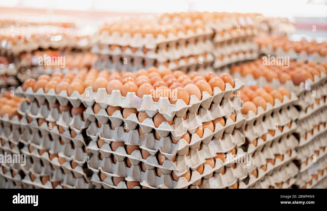 Œufs frais complets de bac en papier de ferme de poules dans l'emballage qui a conservé pour la vente en gros et au détail. Banque D'Images