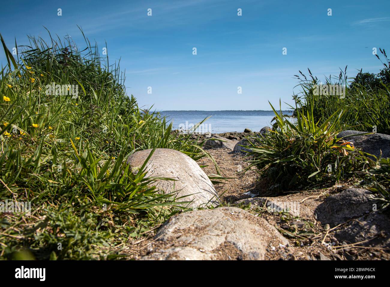 Vue au niveau du sol de Lough Neagh depuis l'île d'Oxford près de Craigavon en Irlande du Nord, le matin chaud et ensoleillé du printemps Banque D'Images