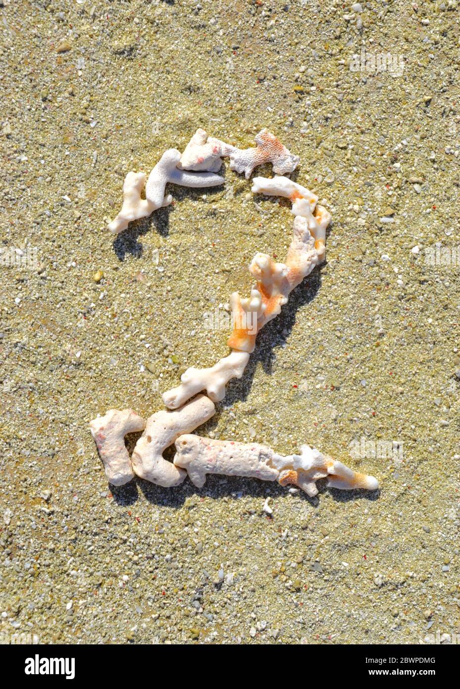 Le soleil blanchi des morceaux morts de corail beachcomber en forme de numéro deux (2) sur la plage de la Grande barrière de corail Banque D'Images