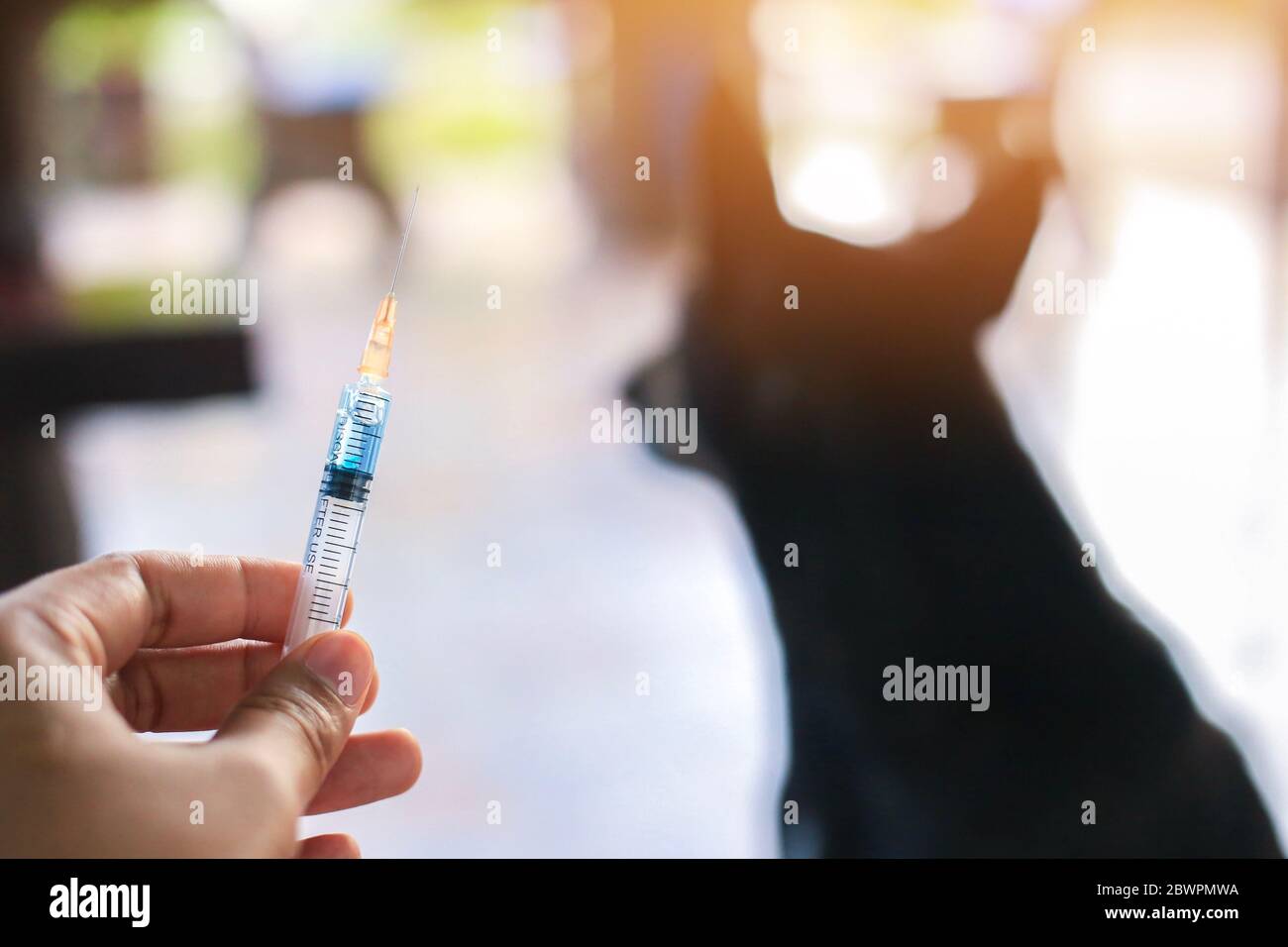 Rage Injection Vaccin Rabies flacon et aiguille de seringue injection hypodermique ...