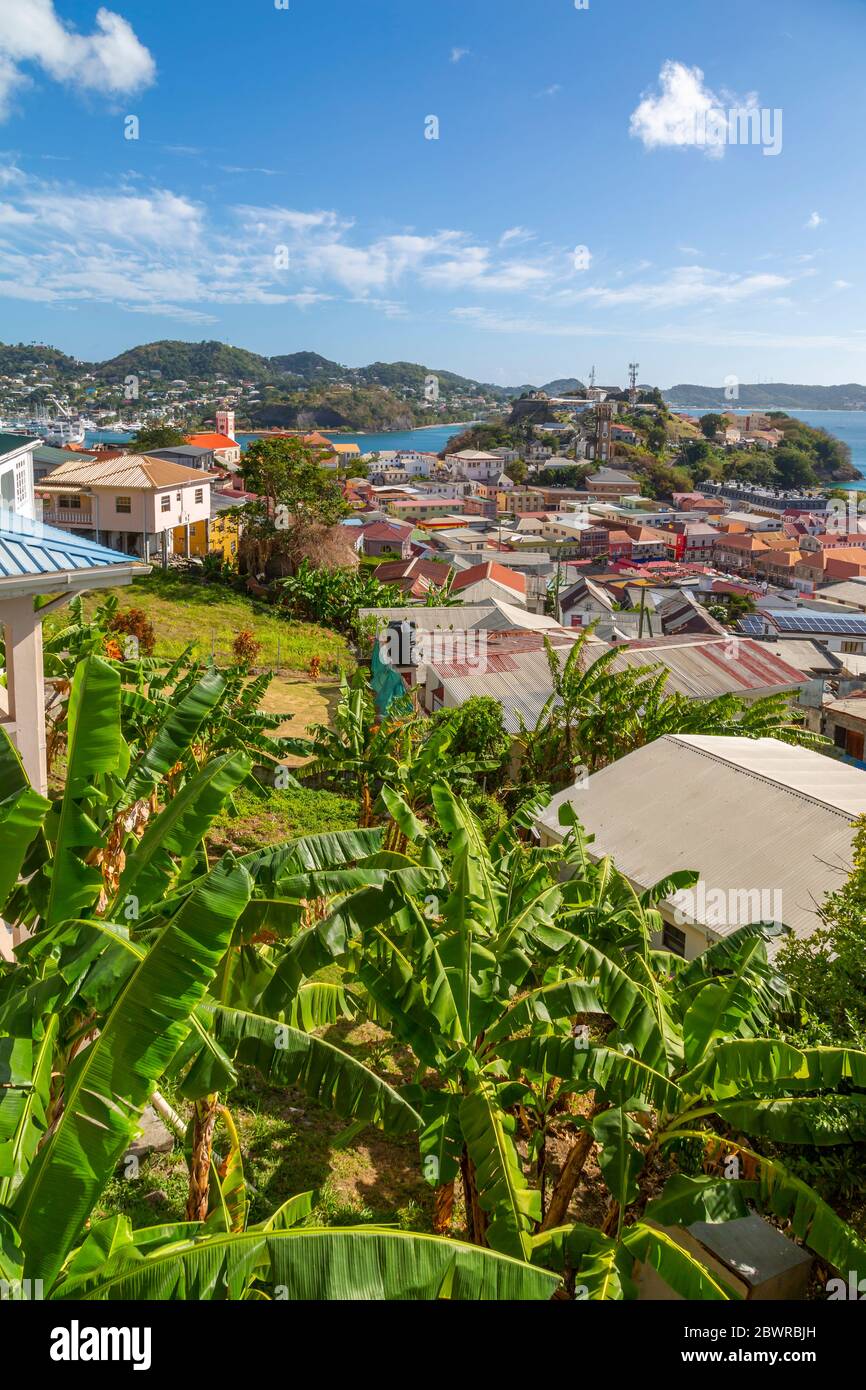 Vue sur la ville de St Georges et la mer des Caraïbes, St George's, Grenade, les îles du vent, les Antilles, les Caraïbes, l'Amérique centrale Banque D'Images