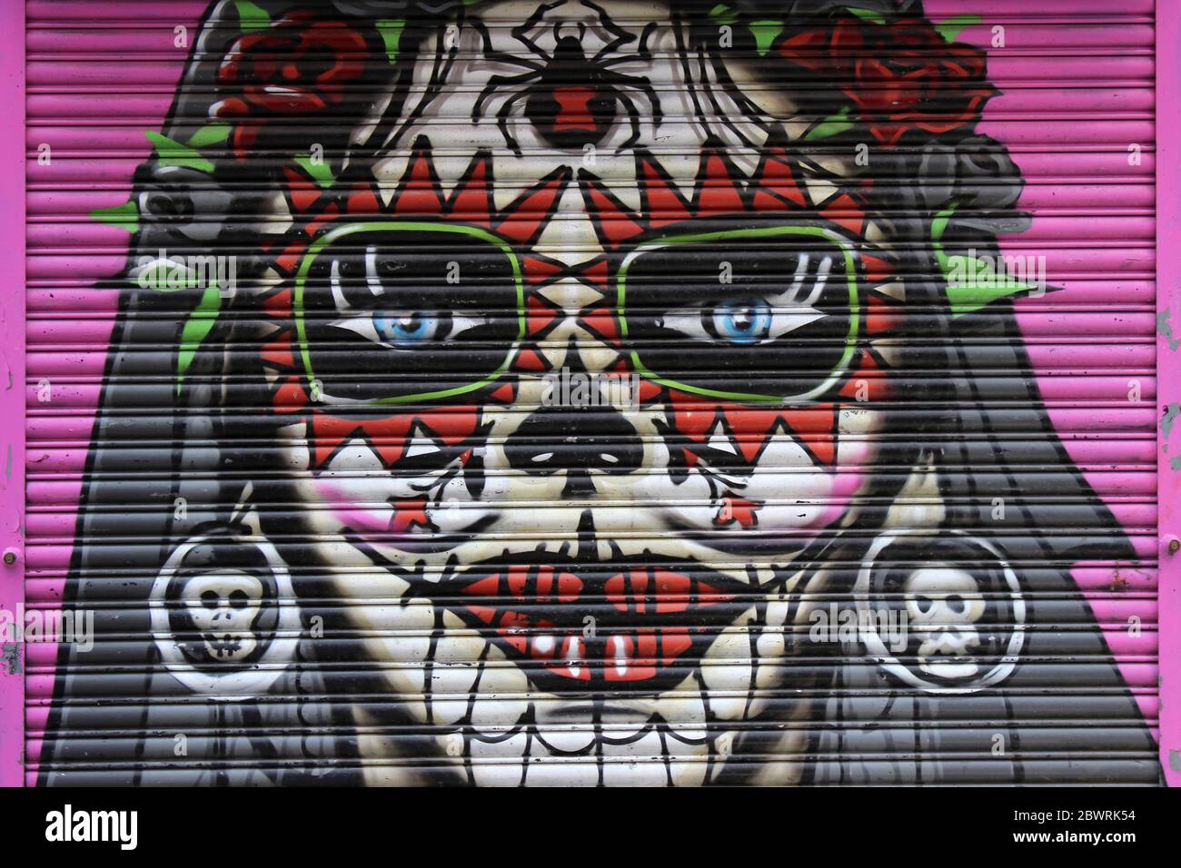 L'œuvre d'art de la Journée mexicaine des morts à l'occasion D'un obturateur de rue Banque D'Images