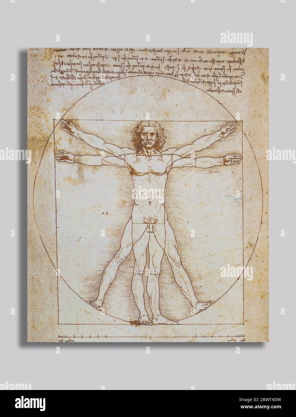Affiche Léonard De Vinci : L'homme de Vitruve, 1492, 50 x 70 cm