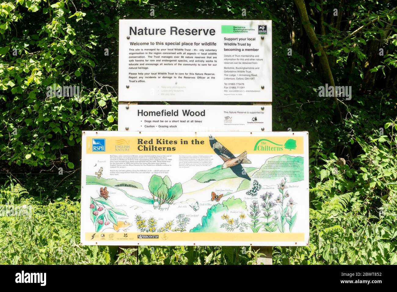 Panneau d'information à la réserve naturelle de Homefield Wood SSSI à Buckinghamshire, Angleterre, Royaume-Uni, un site important pour les orchidées rares Banque D'Images