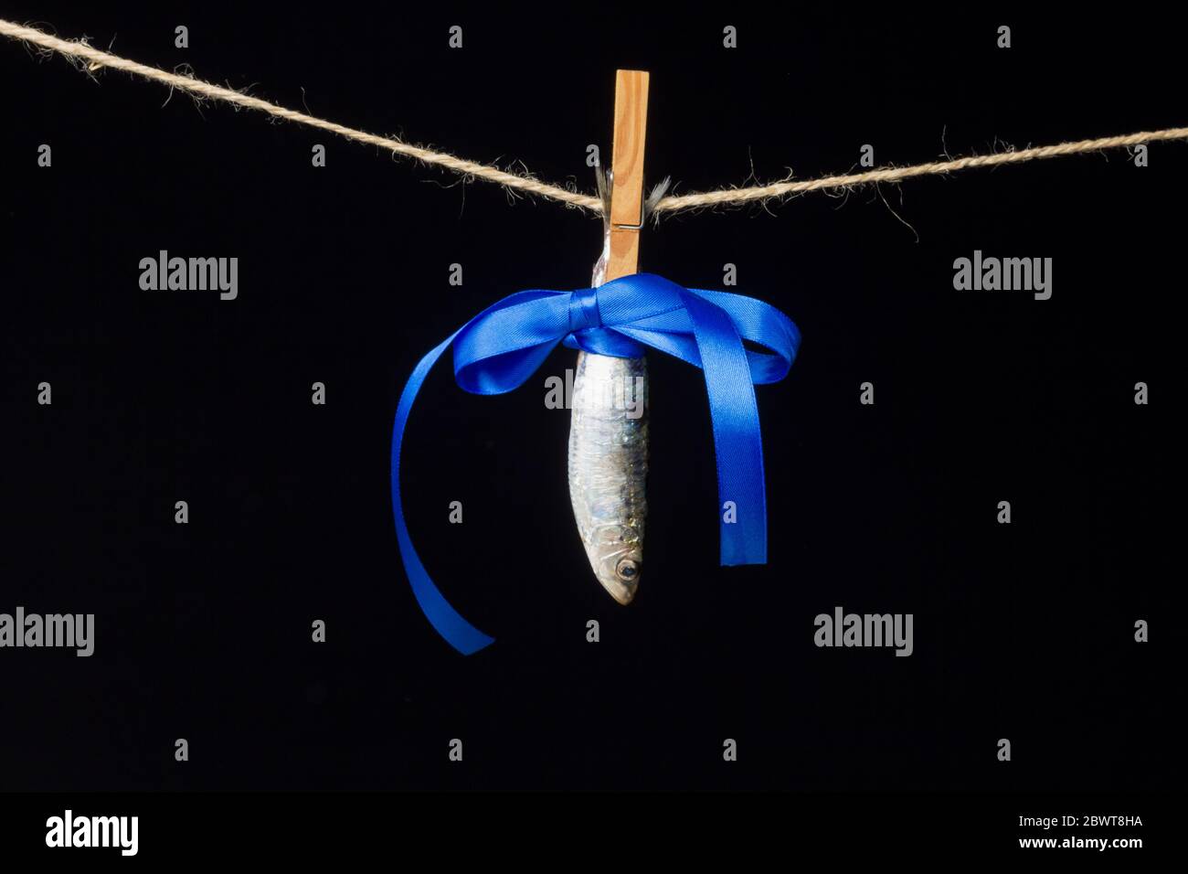 La sardine est un poisson qui se trouve facilement dans les pêcheurs, il est généralement pêché dans la mer Méditerranée et est commun dans le régime méditerranéen, sain Banque D'Images