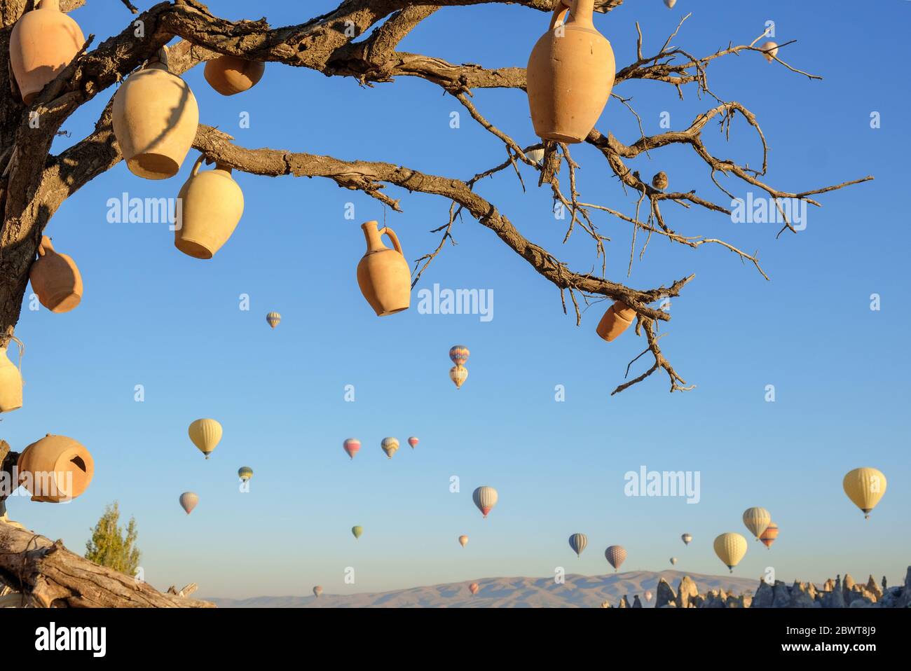 Arbre de souhaits en Cappadoce, Turquie, cruches d'argile sur les branches d'un arbre séché et ballons d'air chaud volant en arrière-plan Banque D'Images