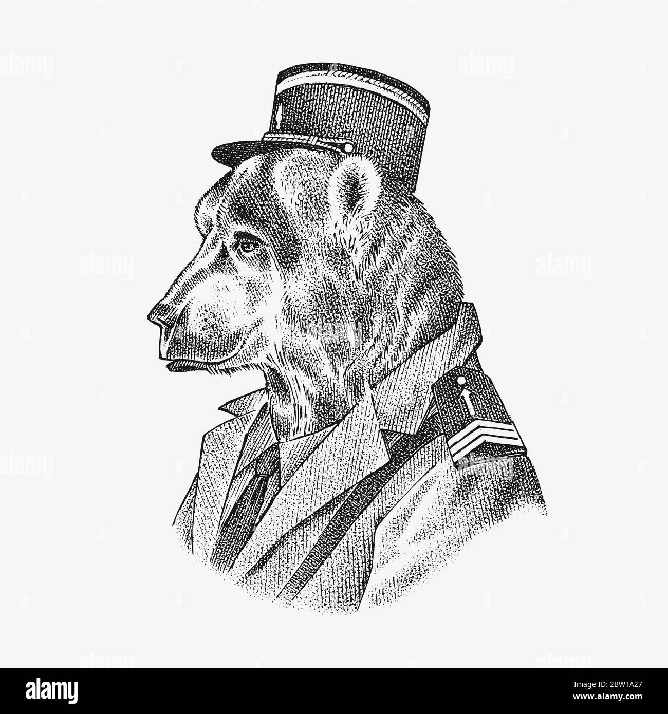 Ours de style militaire. Animal habillé en sécurité. Étiquette de caractère mode. Esquisse dessinée à la main. Illustration vectorielle gravée pour l'étiquette, le logo et le T Illustration de Vecteur