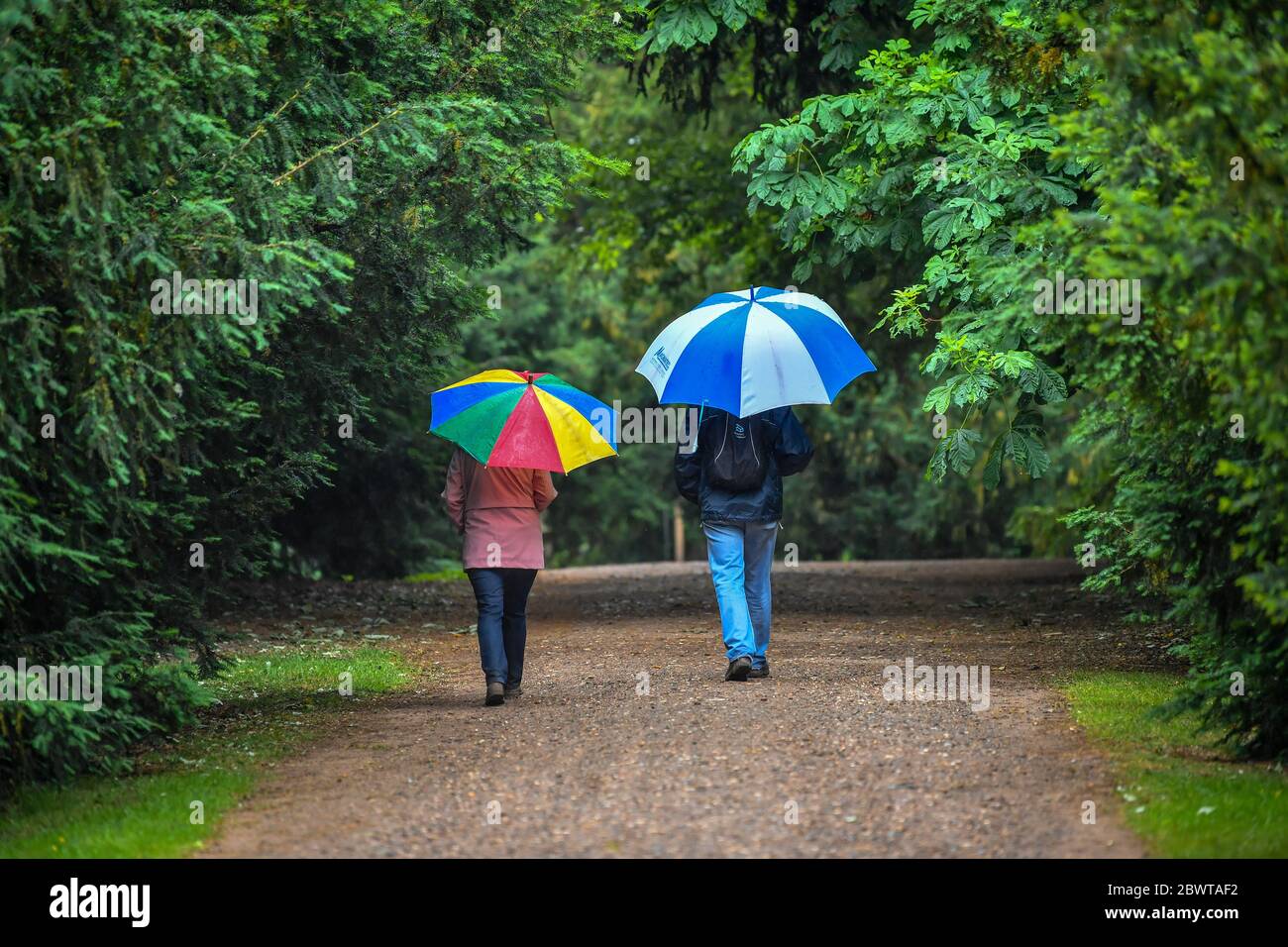 Les visiteurs marchent séparément des autres lors des promenades à la campagne au parc Attingham de Shropshire, le premier jour de la réouverture des jardins et parcs du National Trust après l'épidémie de coronavirus. National Trust rouvre progressivement des jardins et des parcs en Angleterre et en Irlande du Nord, avec la réservation préalable nécessaire pour limiter le nombre de jardins et maintenir la sécurité publique. Banque D'Images