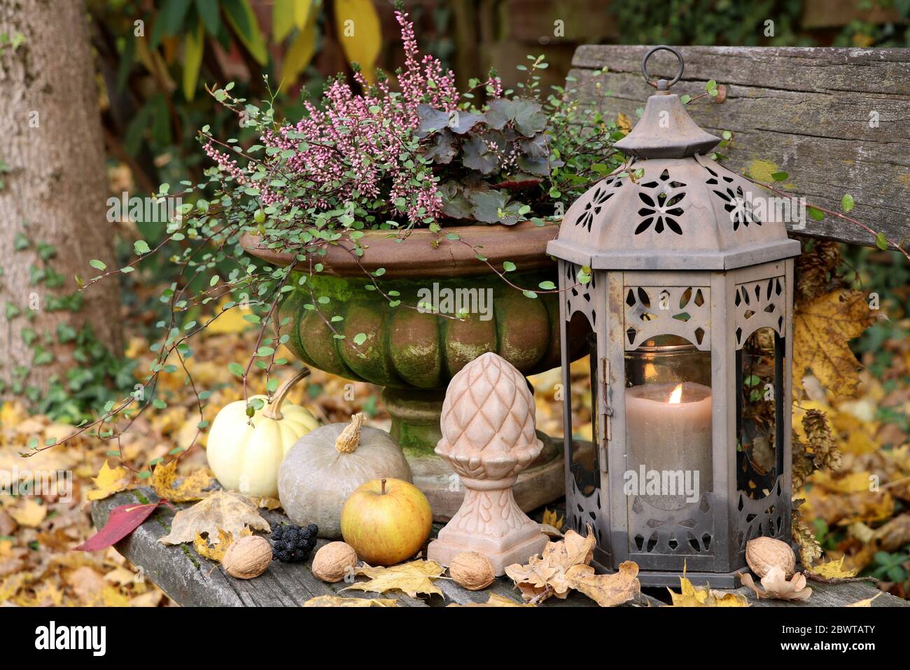Décoration d'automne avec lanterne, citrouilles et fleurs d'automne Photo  Stock - Alamy