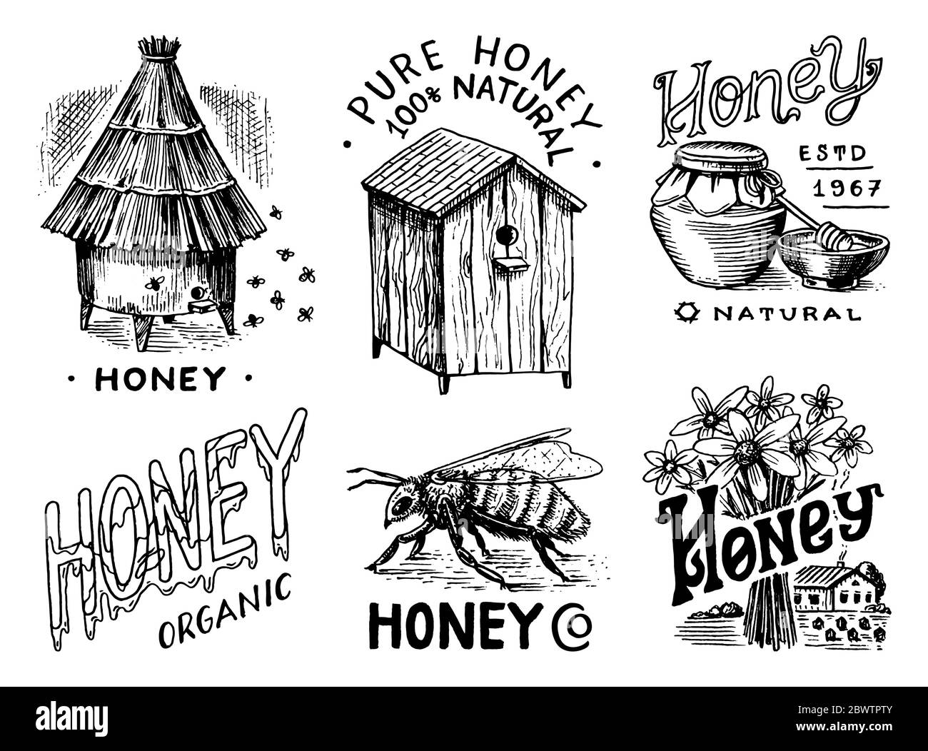 Ensemble miel et abeilles. Nid d'abeilles et ruche et ruche. Logo vintage pour la typographie, la boutique ou les enseignes. Badge pour tee-shirts. Esquisse de gravure dessinée à la main Illustration de Vecteur