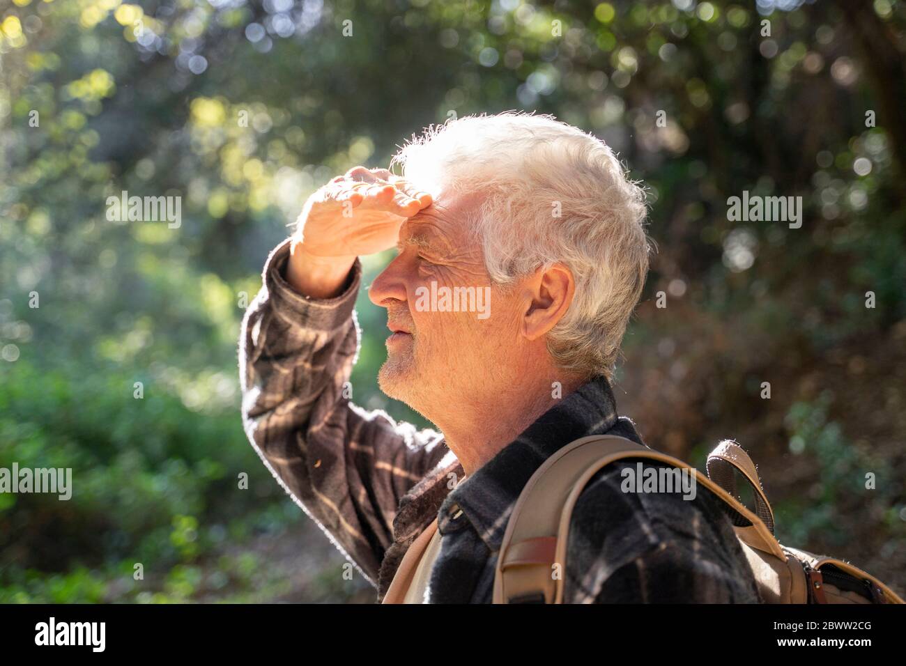 Profil de l'homme de randonnée dans la forêt protégeant ses yeux Banque D'Images