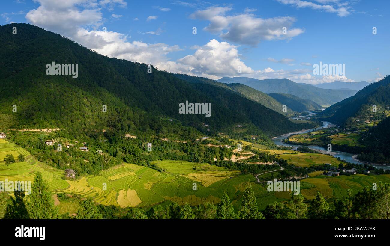 Bhoutan, village Yepaisa, village et champs en terrasse dans une vallée de montagne boisée Banque D'Images