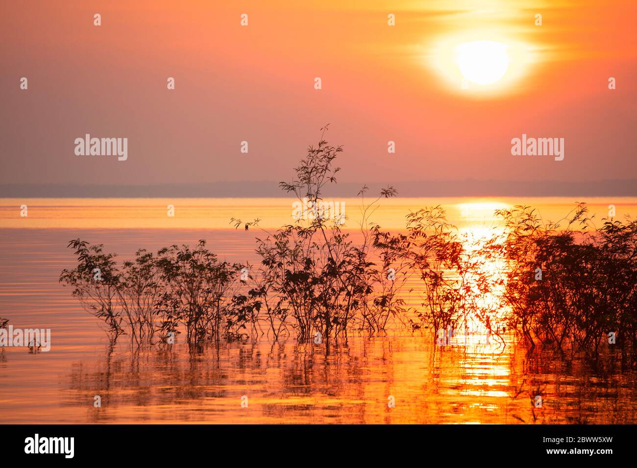 Magnifique coucher de soleil avec le soleil se coucher sur l'horizon dans le bassin de l'Amazone, Manaus, Brésil Banque D'Images