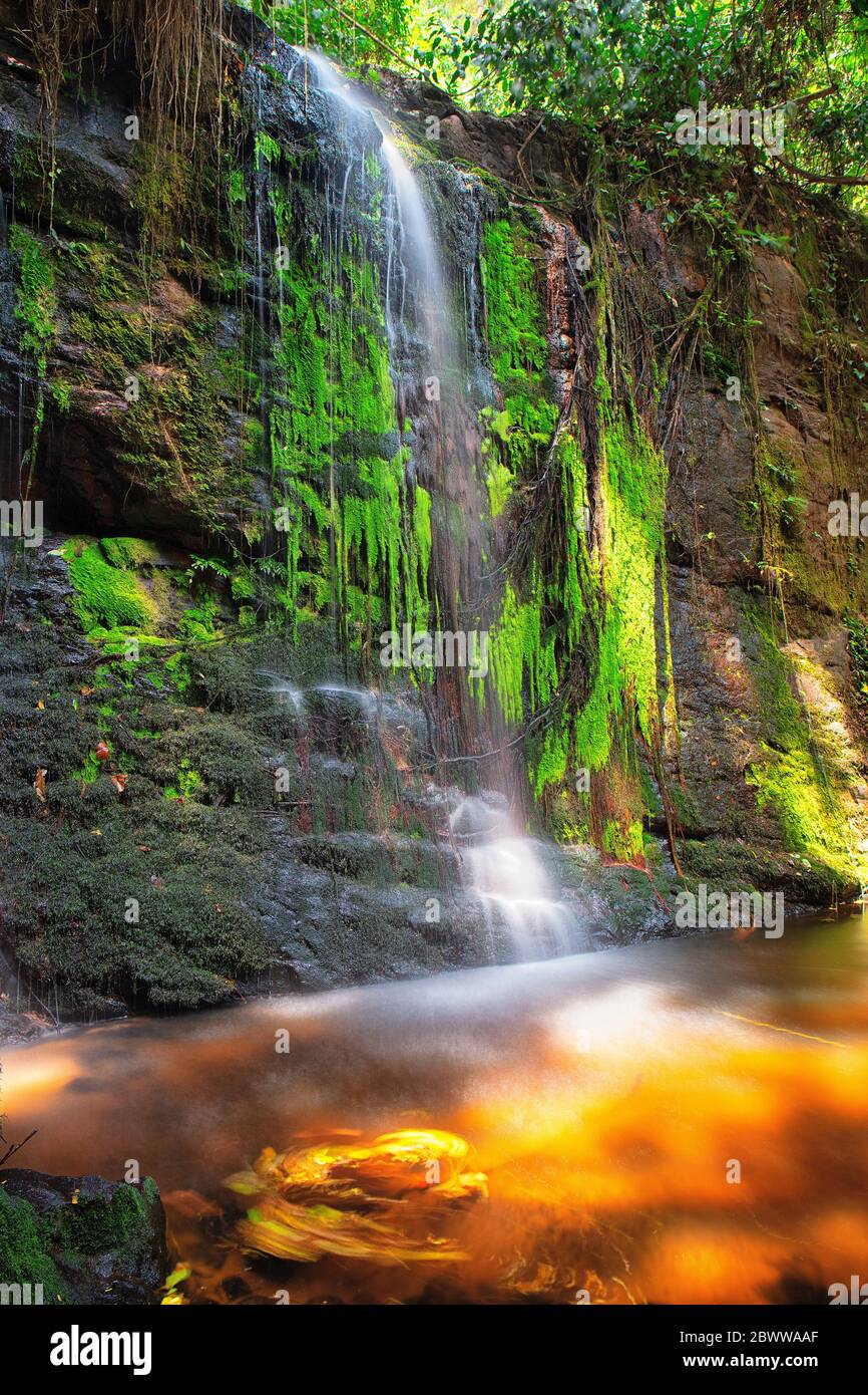 République centrafricaine, chute d'eau dans la réserve spéciale de Dzanga-Sangha Banque D'Images