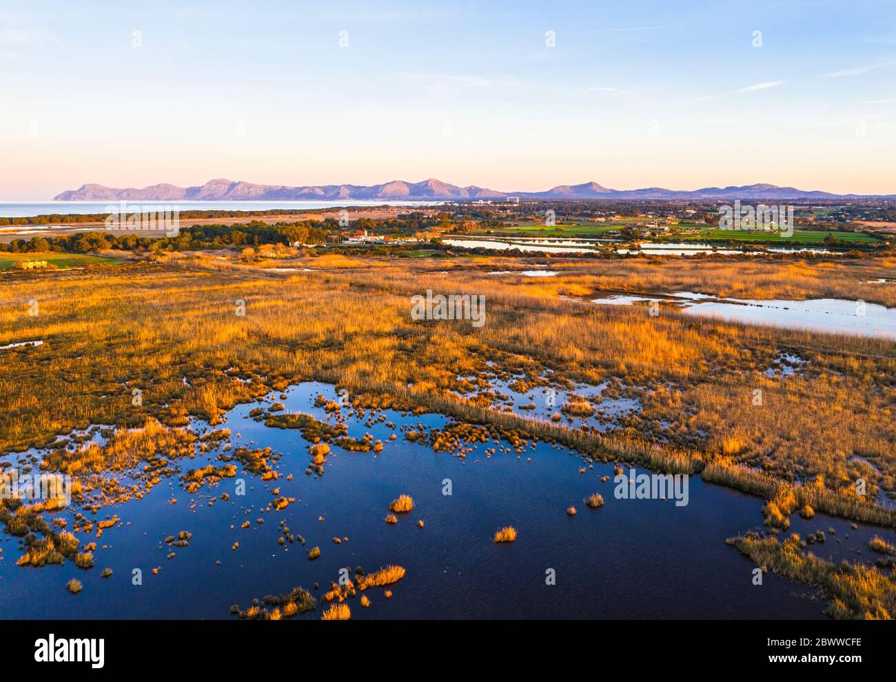 Espagne, Iles Baléares, Majorque, s'Albufera de Mallorca marais au crépuscule Banque D'Images