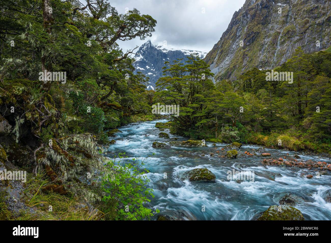 Nouvelle-Zélande, Southland, te Anau, longue exposition de la rivière Hollyford Banque D'Images