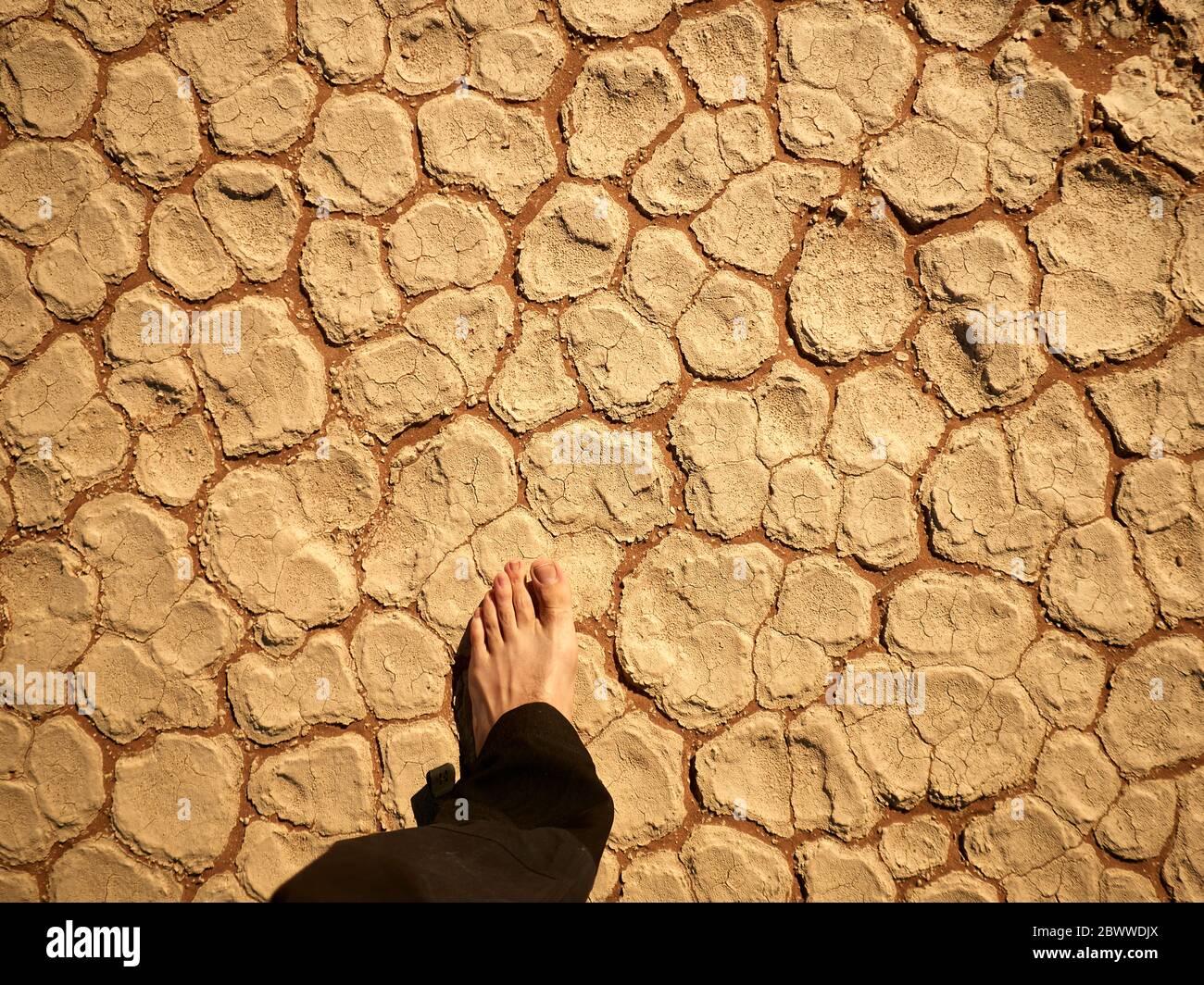 Le pied de l'homme sur le plancher de la casserole de sel craqué, Deadvlei, Namibie Banque D'Images