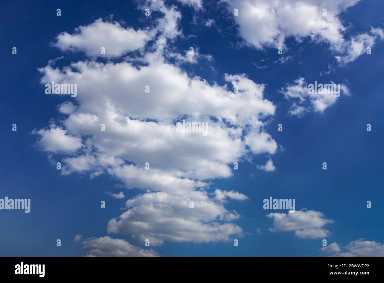 Nuages Cumulus. Nuages blancs moelleux dans un ciel bleu Banque D'Images