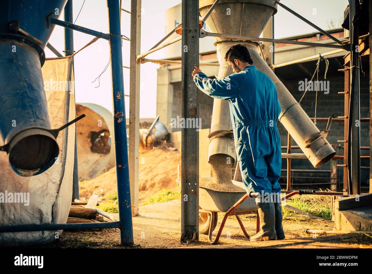 Un jeune agriculteur porte une alimentation bleue globale de déchargement d'un silo dans une brouette Banque D'Images