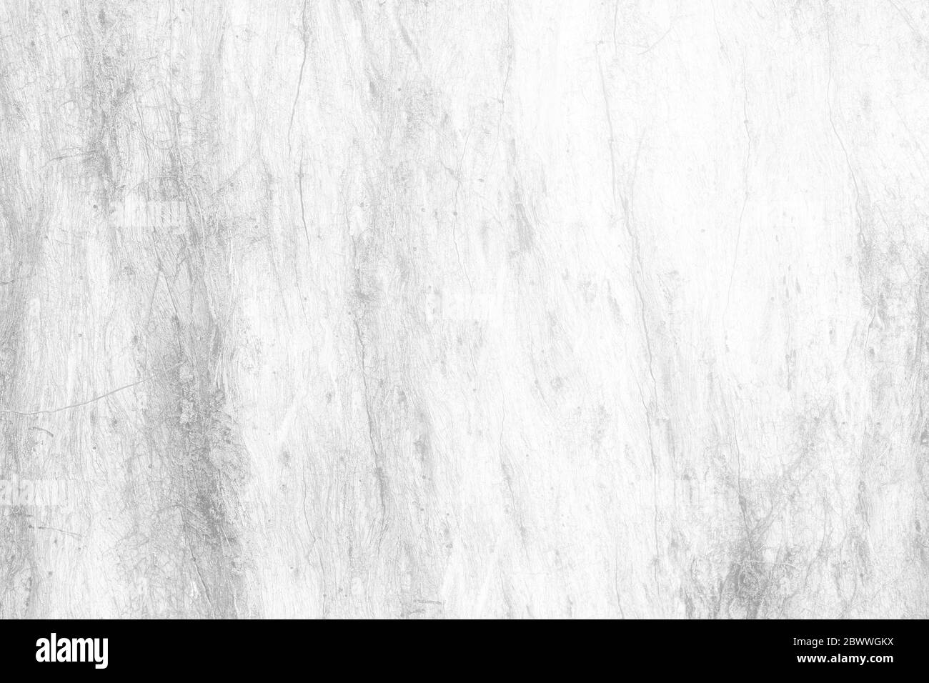 Gros plan blanc Peeling Wood Bark texture fond. Banque D'Images