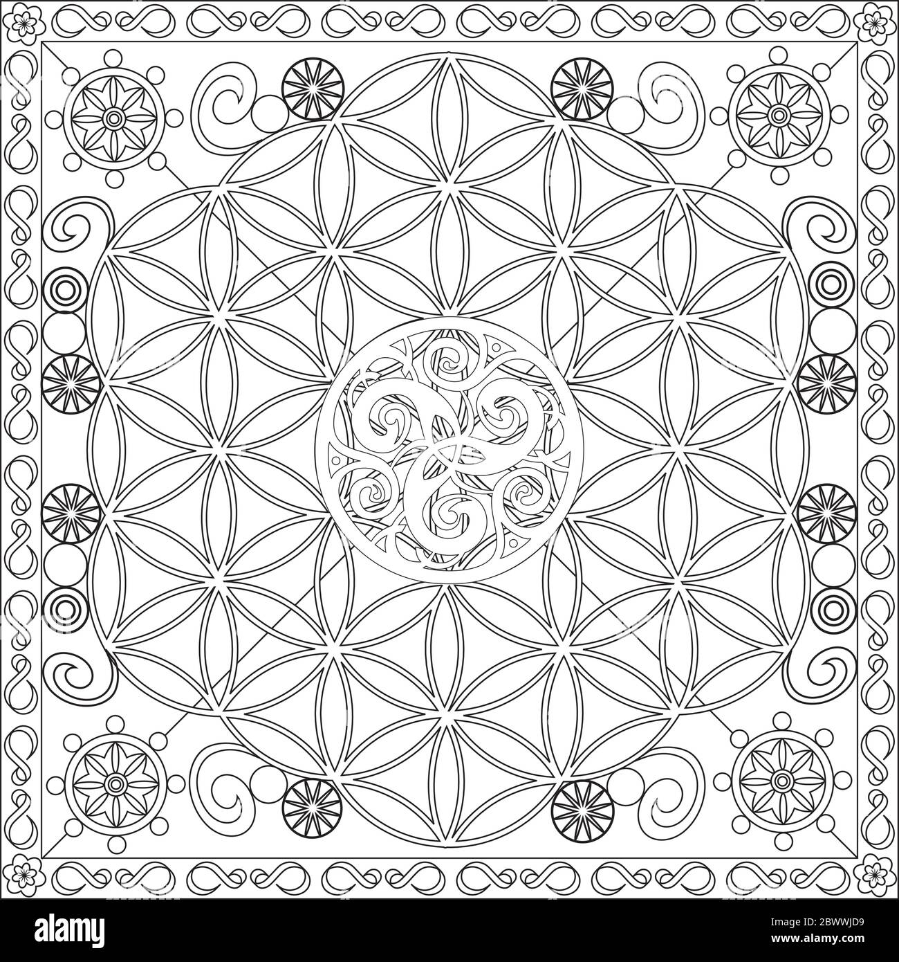 Page de coloriage Illustration en format carré - Mandala Fleur de la roue de la vie - déstresser et se détendre - Noir et blanc Illustration de Vecteur