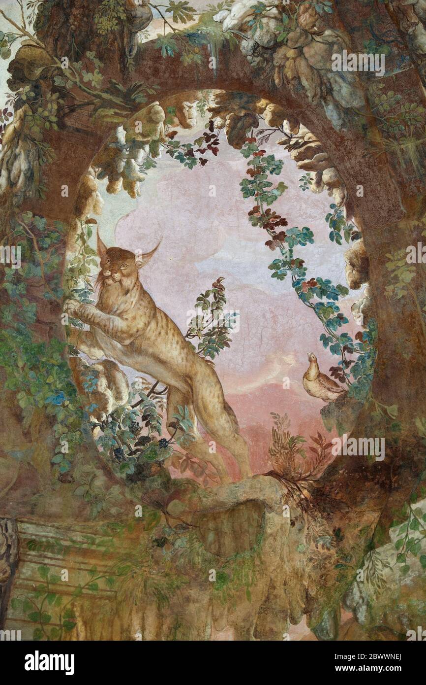Italie, Florence. Jardins Boboli, grotte de Buontalenti (également connue sous le nom de Grotta Grande ou Grande Grotto), 1583-1593. La première chambre avec sculptures et Banque D'Images